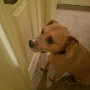 Meet your Posher, Elaine